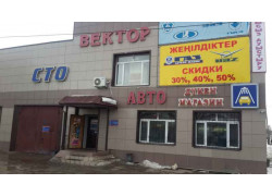 Вектор