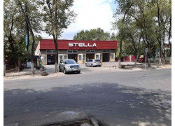 Stella